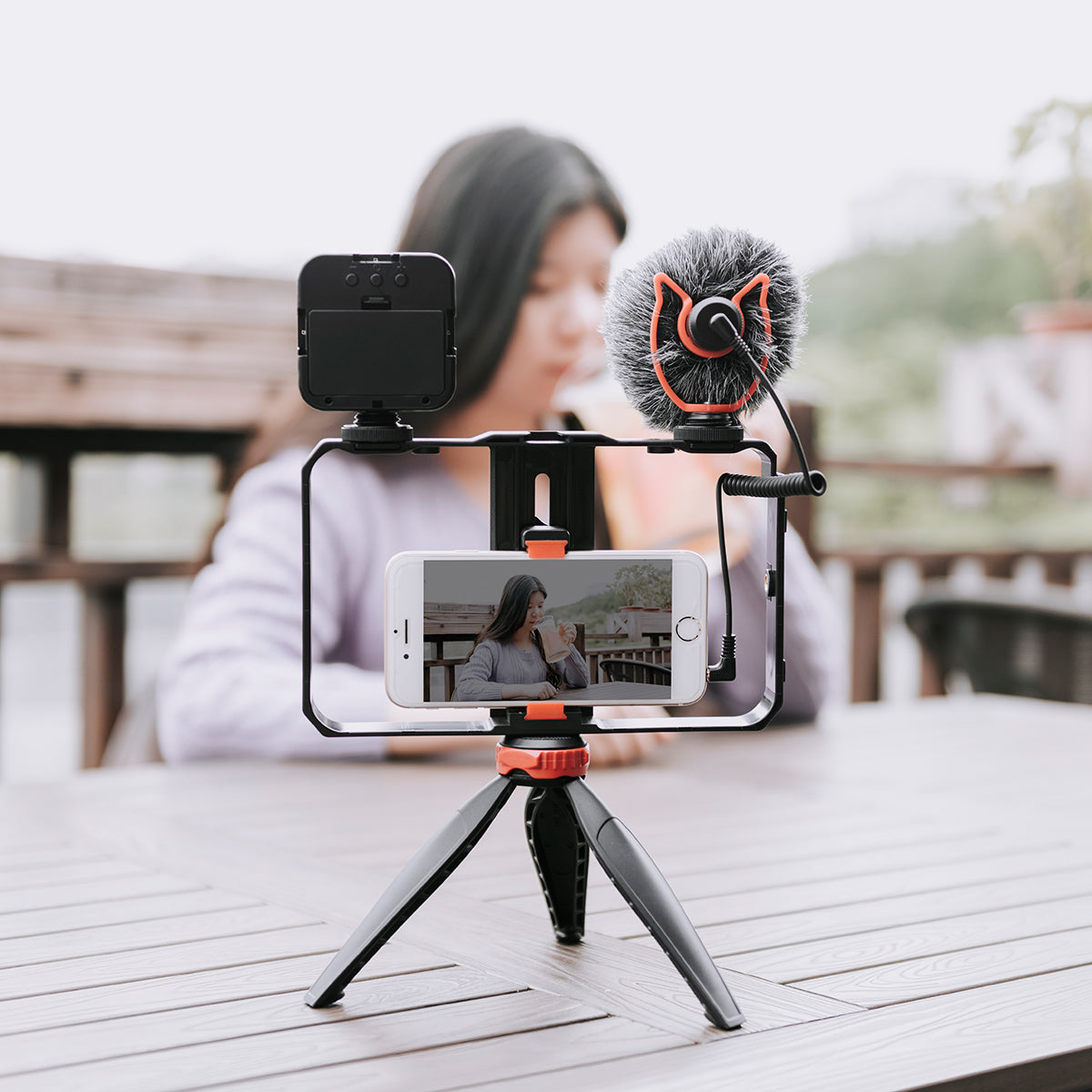 Yelangu PC204 Smartphone Video Rig Kit with Microphone + Light + Mini Tripod for Phone