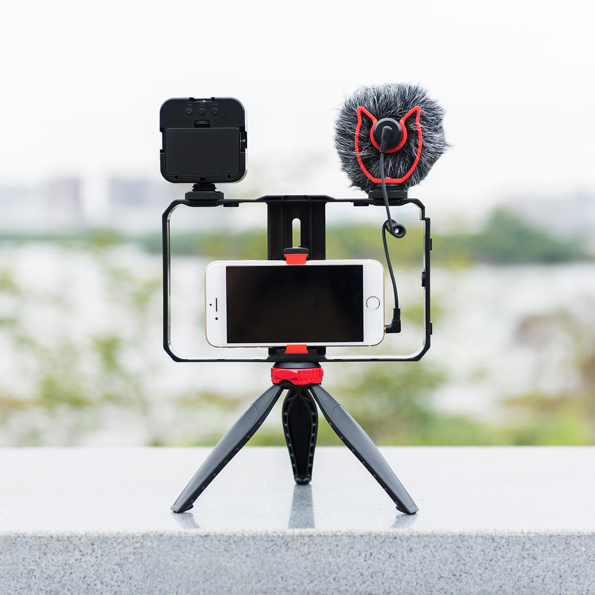 Yelangu PC204 Smartphone Video Rig Kit with Microphone + Light + Mini Tripod for Phone