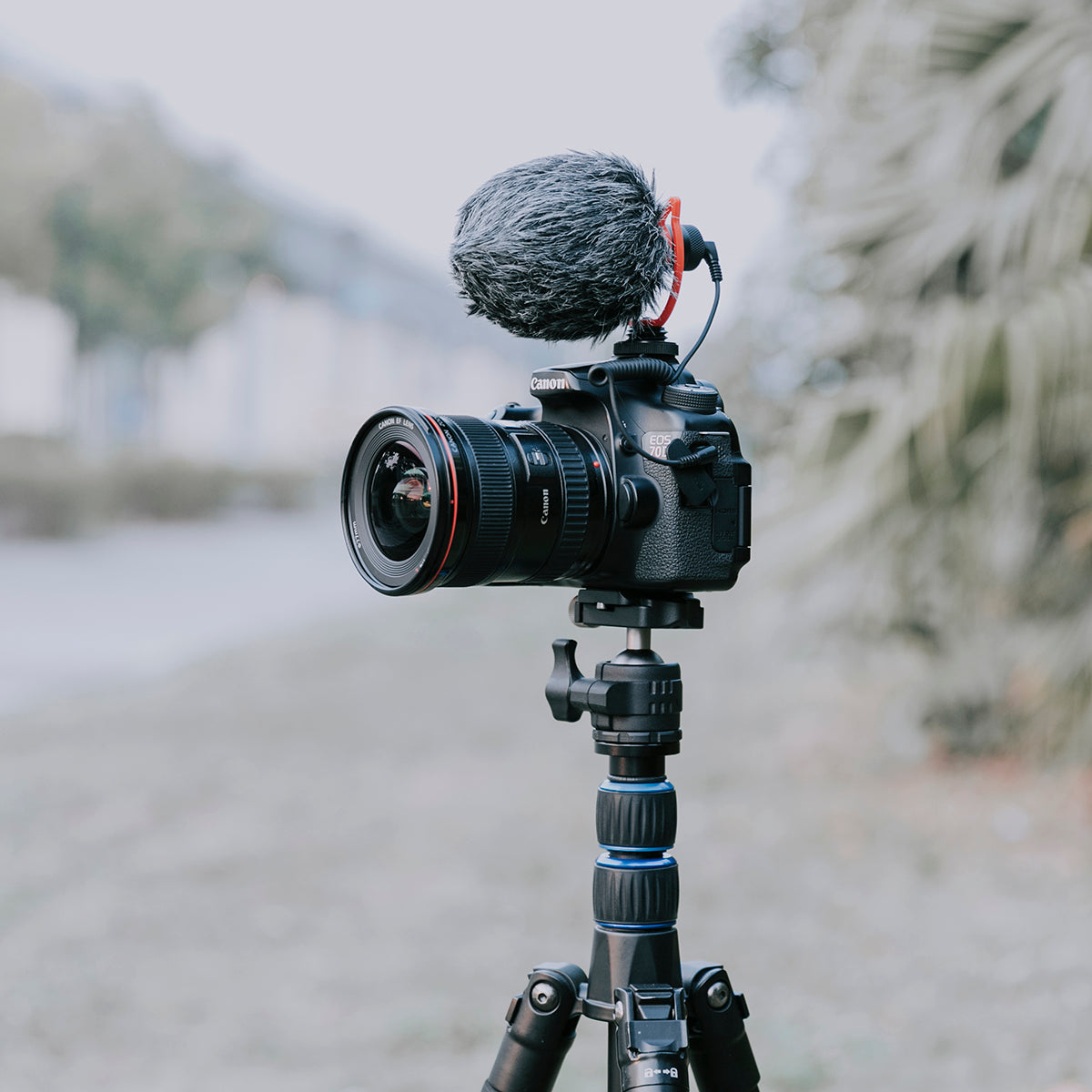 Yelangu Mic 10 Video Microphone with Shock Mount, Windscreen, Case for Smartphones and camera