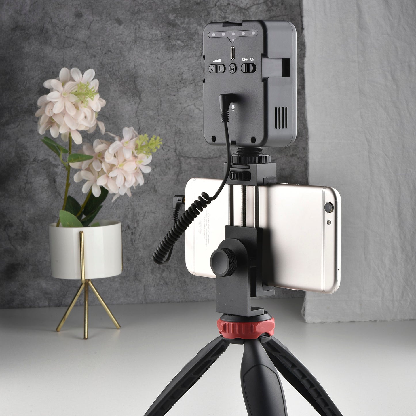 YELANGU Portable Dual Function Miclight Led Video Light and Microphone Two in One LED02
